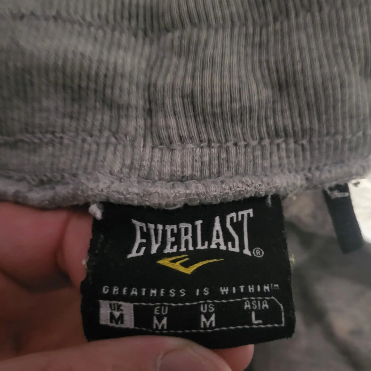Sweat-shirt gris Everlast taille M, étiquette visible, Fripes Sélect