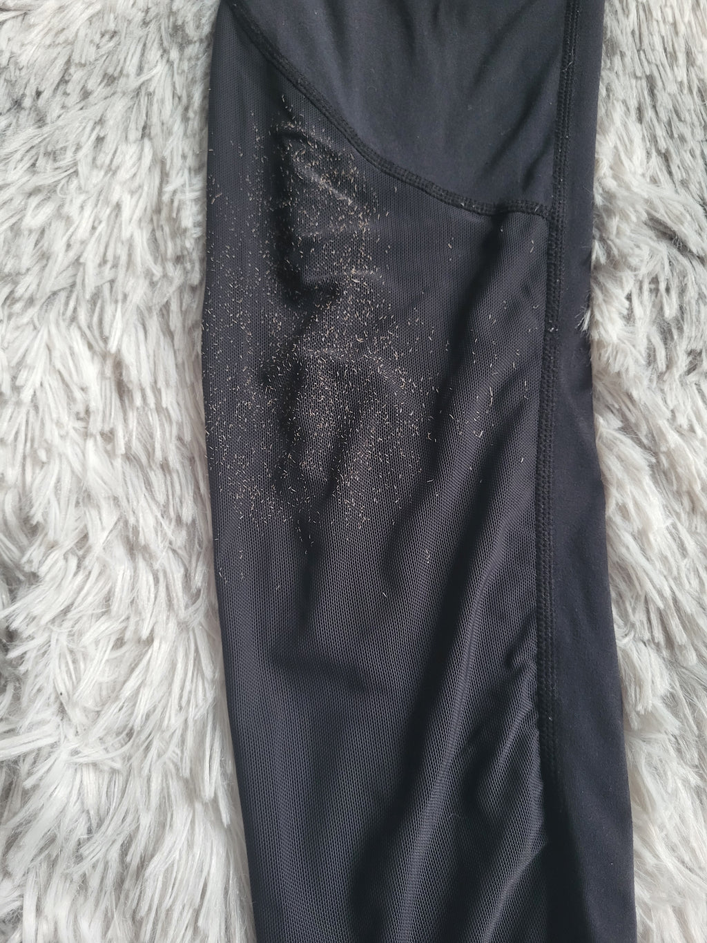 Legging de Sport Gymshark – Logo Waistband – Noir – Taille XL – Fitness & Training