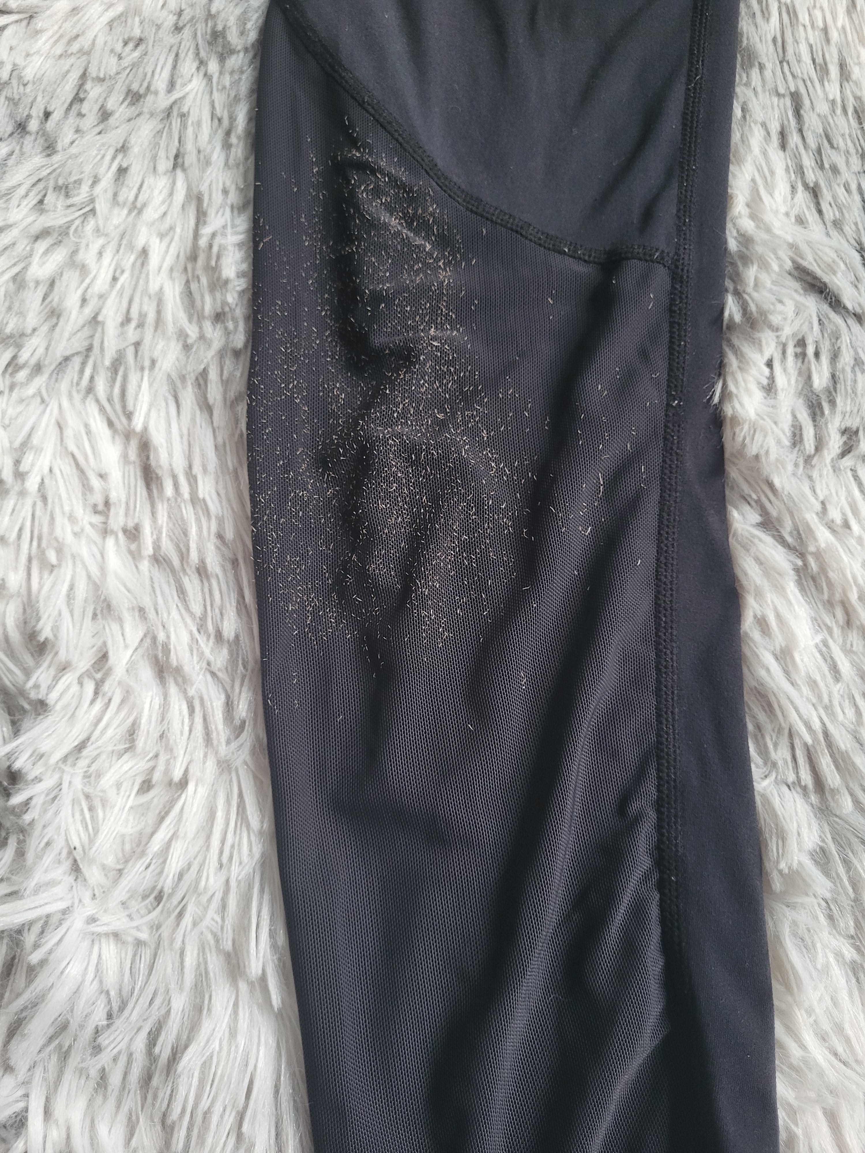 Legging de Sport Gymshark – Logo Waistband – Noir – Taille XL – Fitness & Training